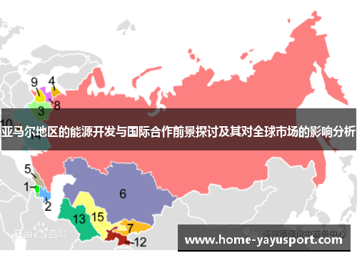 亚马尔地区的能源开发与国际合作前景探讨及其对全球市场的影响分析